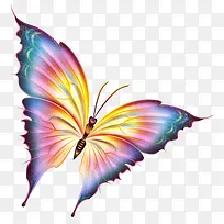 炫彩翅膀蝴蝶-空若网 炫彩翅膀蝴蝶-空若网