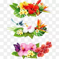 免费剪贴画-热带花卉-空若网 免费剪贴画-热带花卉-空若网