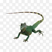 ���涯��-������