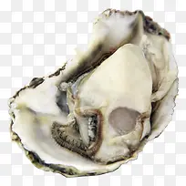 生蚝肉海蛎子肉-空若网 生蚝肉海蛎子肉-空若网