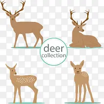 矢量手绘卡通鹿-空若网 矢量手绘卡通鹿-空若网