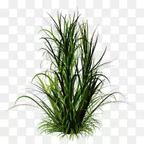 �ݱ�ֲ��滭������-��-������