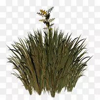 ²Ý±¾Ö²Îï²Ýƺ²Ýµé¹ã¸æ²Ý-¿ÕÈôÍø ²Ý±¾Ö²Îï²Ýƺ²Ýµé¹ã¸æ²Ý-¿ÕÈôÍø