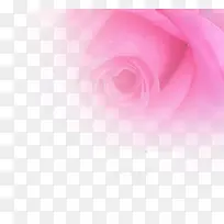 �廭����ױ��������-������