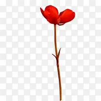 ¾ªÑÞµÄËÄÒ¶²Ý-¿ÕÈôÍø ¾ªÑÞµÄËÄÒ¶²Ý-¿ÕÈôÍø