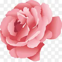 ܽ�ػ�װ�����ʸ��-������