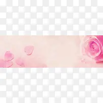 ��ɫ�İ�-������