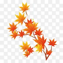 ��Ҷ��Ѿ-������