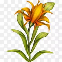 �滭����������-ˮ�ʻ�����-������