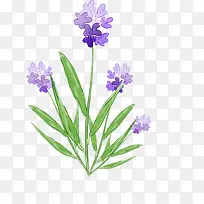 ޹�²�-������