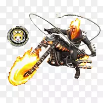 昆虫膜-幽灵骑手-空若网 昆虫膜-幽灵骑手-空若网