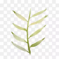 Æ½ÃæÉè¼ÆË®²Ê»-À뿪ˮ²Ê»-¿ÕÈôÍø Æ½ÃæÉè¼ÆË®²Ê»-À뿪ˮ²Ê»-¿ÕÈôÍø