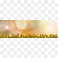 �λõ��̲�-������