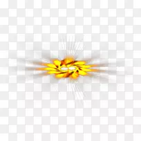 �����������������-������