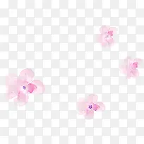 �ֻ滨�ܲ廭���-������