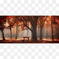 秋天树下背景-空若网 秋天树下背景-空若网