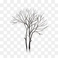 枯树枝-空若网 枯树枝-空若网