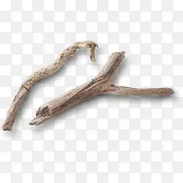 枯树枝-空若网 枯树枝-空若网