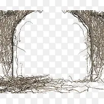 ����֦��-������