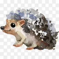 水彩动物刺猬-空若网 水彩动物刺猬-空若网