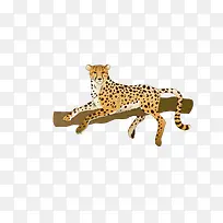 ����ͨʸ��Ԫ��-������