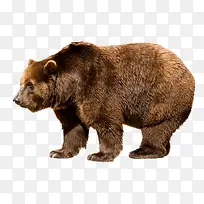 动物-空若网 动物-空若网