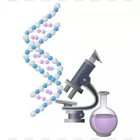 实验室生物化学研究科学研究-空若网 实验室生物化学研究科学研究-空若网