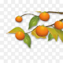 水果-空若网 水果-空若网