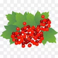 ɣ�����Ѹɽ���ʳƷ����ˮ��-�߲�-������