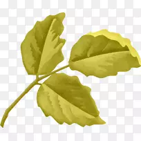 ֲ��Ҷ��-���Ҷ-������