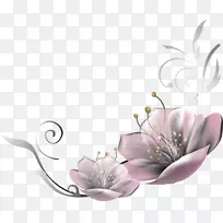 花卉花瓣设计植物-水花-空若网 花卉花瓣设计植物-水花-空若网