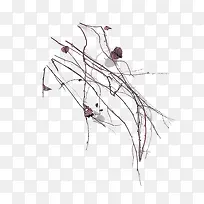 树枝-空若网 树枝-空若网