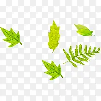 手绘叶子时尚画报-空若网 手绘叶子时尚画报-空若网