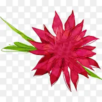 手绘花卉时尚画报-空若网 手绘花卉时尚画报-空若网