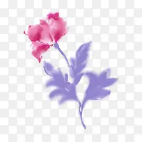 手绘花卉时尚画册-空若网 手绘花卉时尚画册-空若网