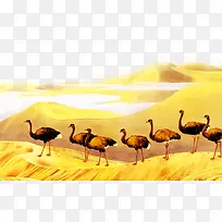 �����ز�-������