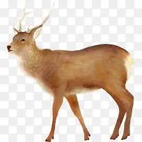 �ֻ���¹�廭ͼƬ-������