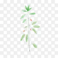 手绘枸杞水彩-空若网 手绘枸杞水彩-空若网