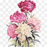 ˮ��ʸ����-������