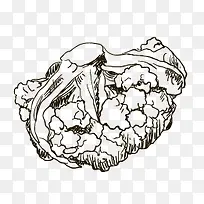 手绘菜花-空若网 手绘菜花-空若网