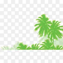 高清摄影绿色棕叶效果-空若网 高清摄影绿色棕叶效果-空若网