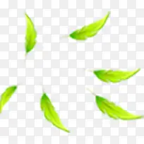 ������ɫ��Ҷ��ӰЧ��-������