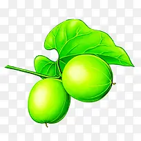 绿色可爱手绘枇杷-空若网 绿色可爱手绘枇杷-空若网