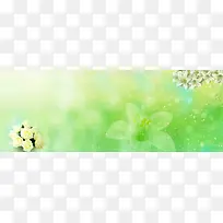 ��ɫ����-������