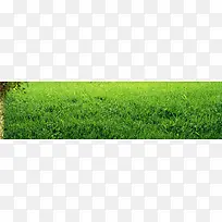 草背景-空若网 草背景-空若网