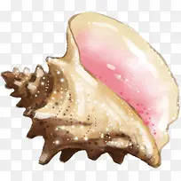 手绘海滩海螺创意-空若网 手绘海滩海螺创意-空若网