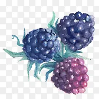 立绘水果莓果高清-空若网 立绘水果莓果高清-空若网