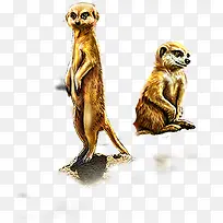 手绘动物创意设计-空若网 手绘动物创意设计-空若网