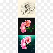 手绘玫瑰创意设计-空若网 手绘玫瑰创意设计-空若网