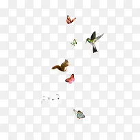 动物-空若网 动物-空若网